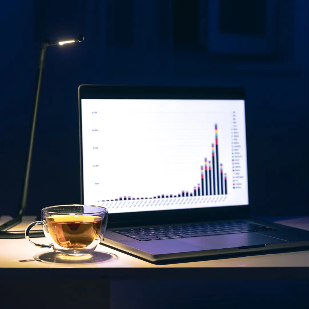 Website Audit Services
